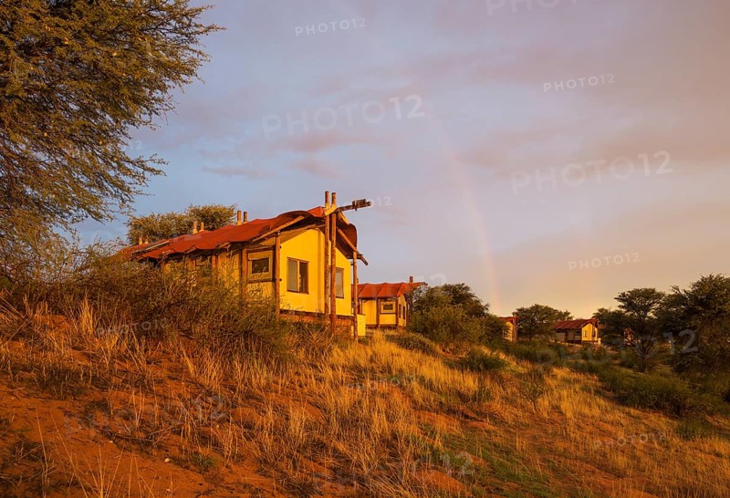 Stilt canvas tents of the Kalahari Tented Camp at ridge of sand dune