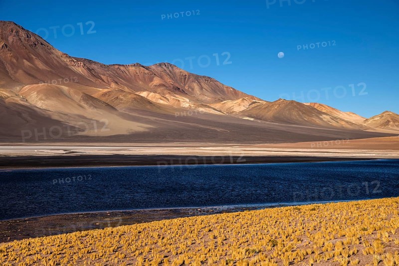 Andean Plain