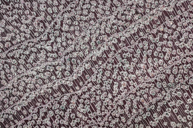 Photomicrograph