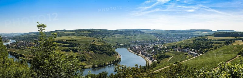 Wormeldange on the Moselle and vineyards