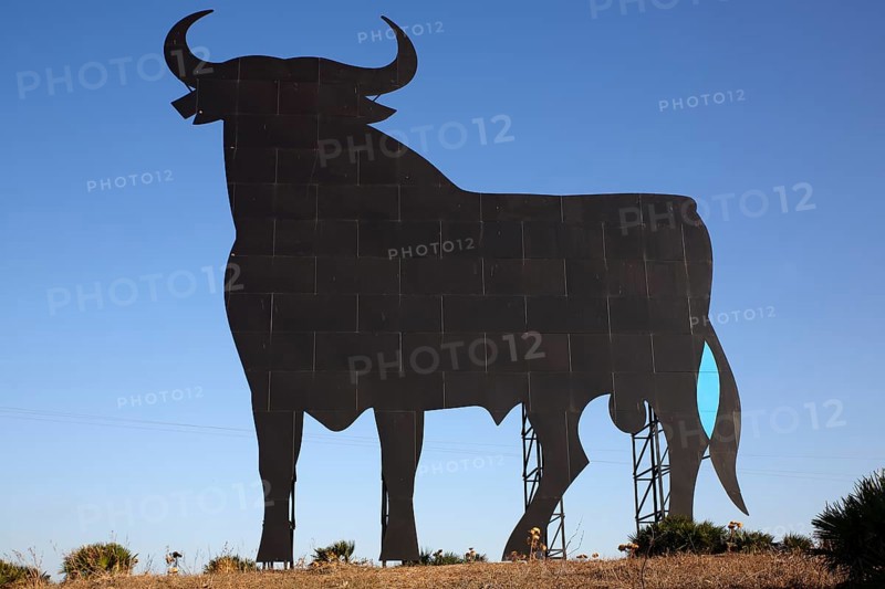 Black silhouette of a bull