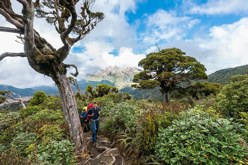 Hiker on hiking trail through forest