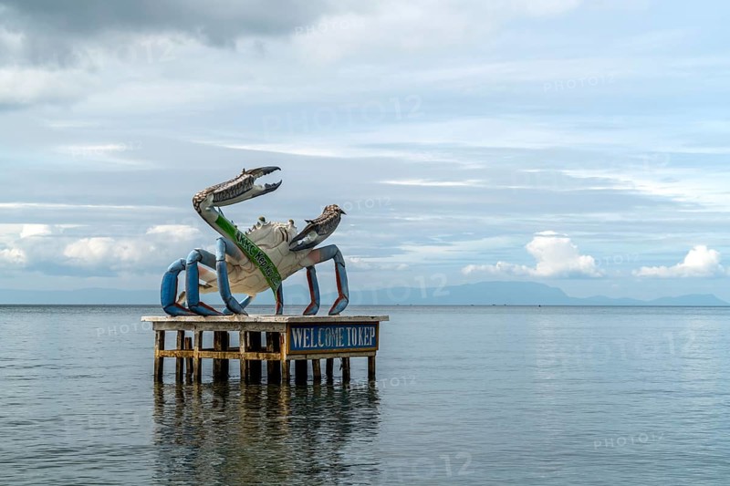 Shrimp sculpture in the sea