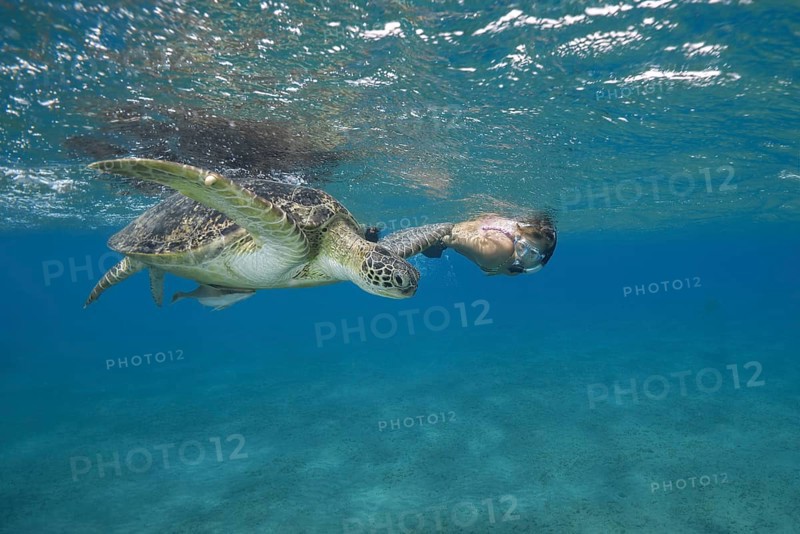 Woman with mask and fins swims with Green Sea Turtle