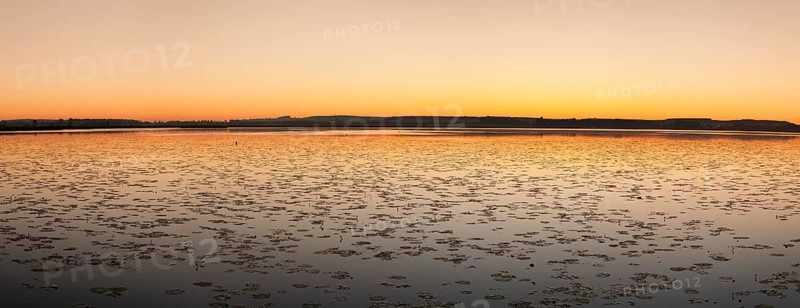 Nature reserve Federsee lake at sunrise
