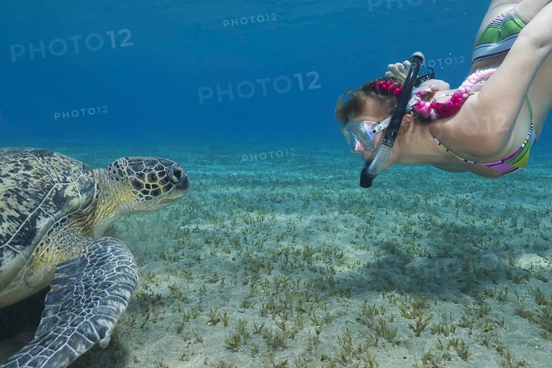 Woman with mask and fins snorkling with Green Sea Turtle