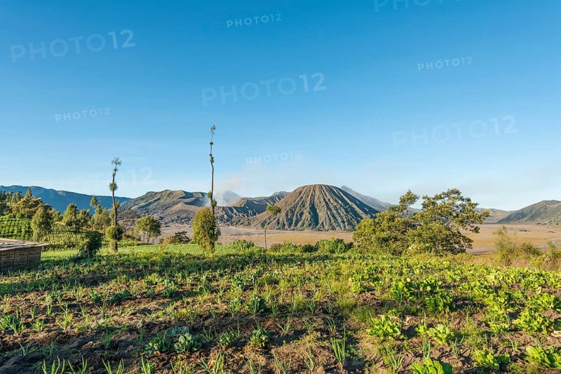 Fields in front of Mount Batok