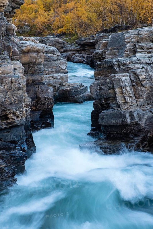 Autumnal Abisko Canyon