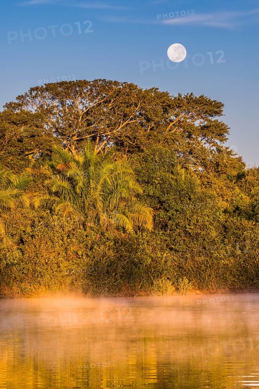 Full moon and morning fog at sunrise over the Rio Negro in the southern Pantanal