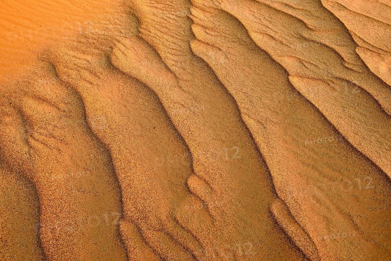 Sand ripples in the sanddunes of Al Khaluf desert