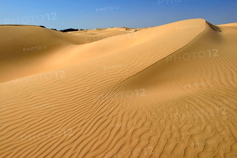 Sanddunes of Al Khaluf desert