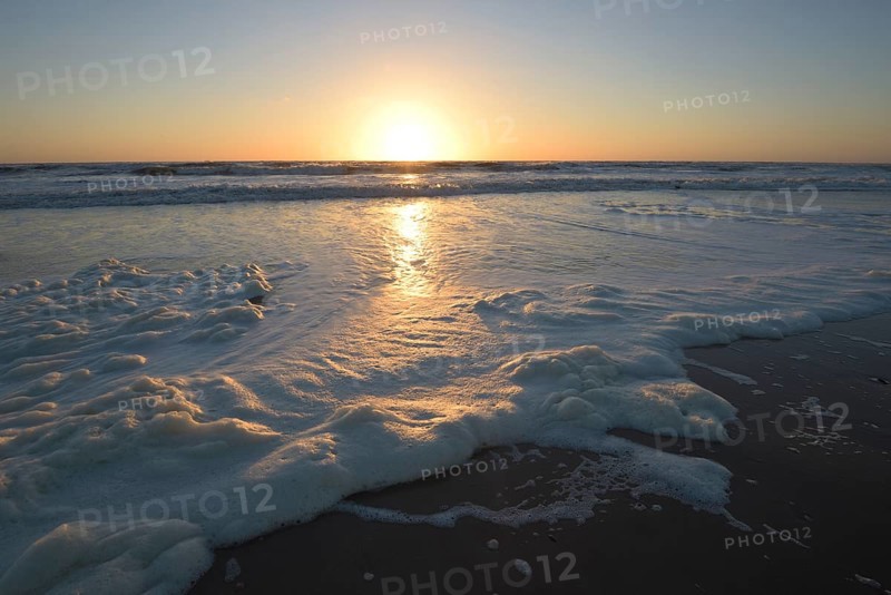 Sea Foam