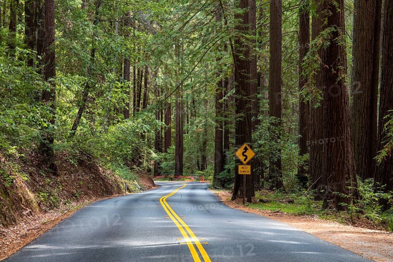 Curvy road