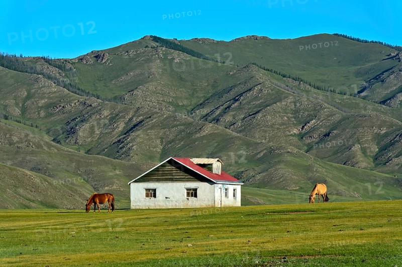 Lonely house in the Orchon Valley
