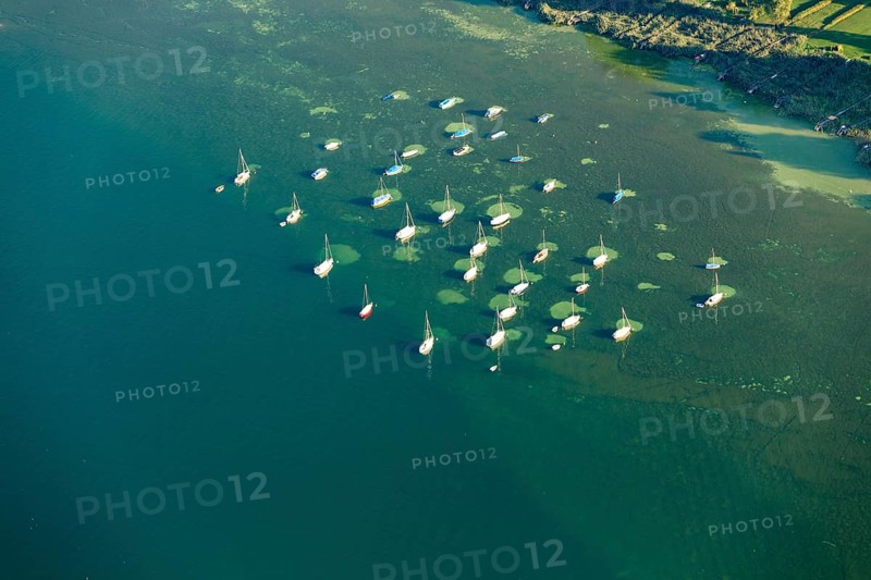 Buoy field