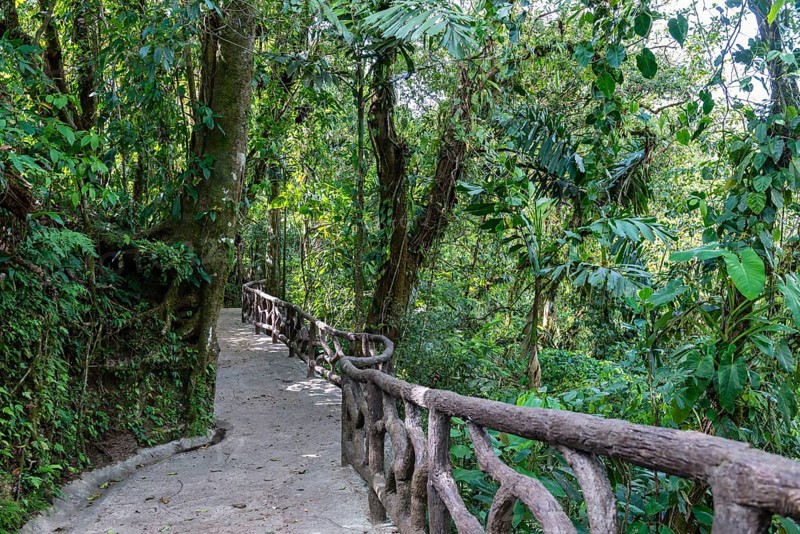 Hiking Trail