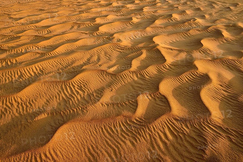 Sand ripples in the sanddunes of Al Khaluf desert