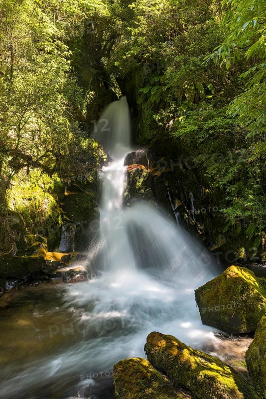 Waiatiu Falls