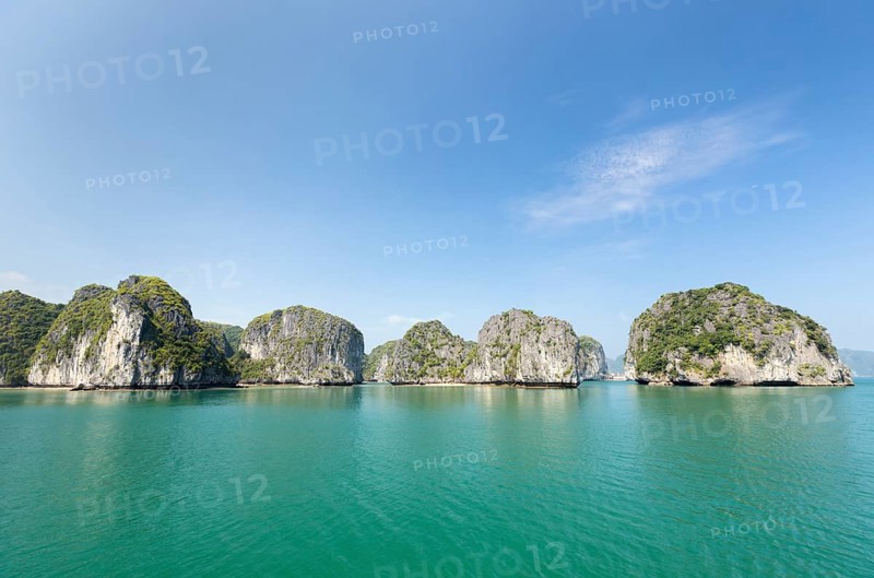 Overgrown limestone karst formations