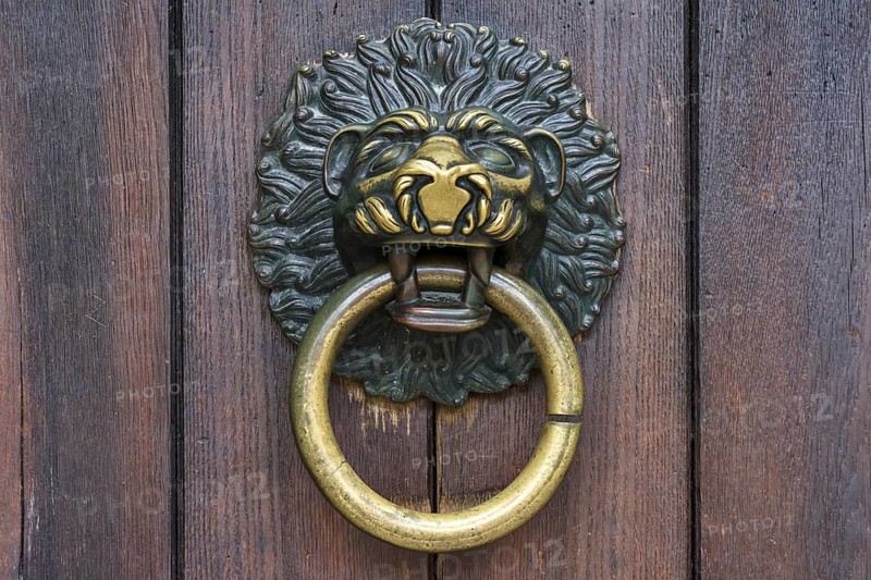 Lowenkopf as door knocker at Schottenkirche St. Jakob