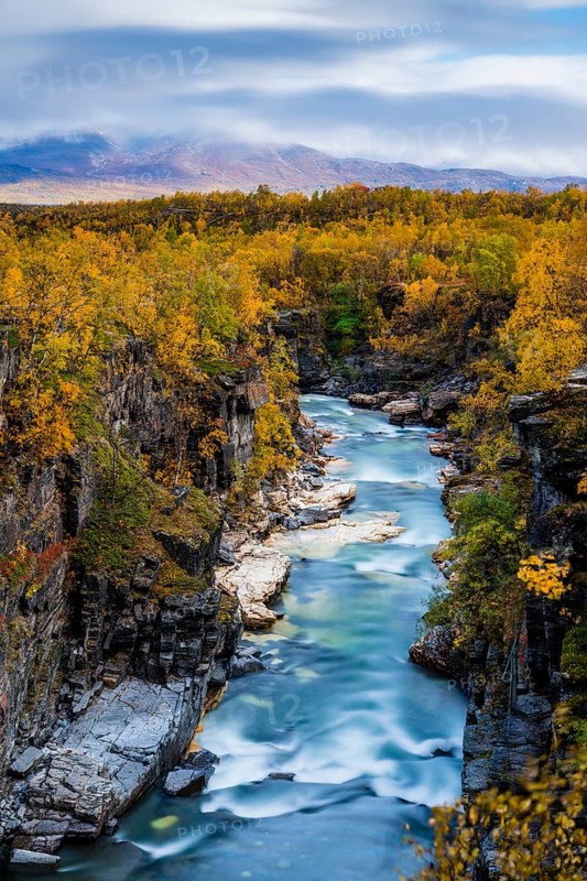 Autumnal Abisko Canyon