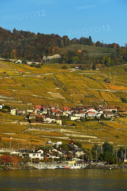 Vineyards in autumn with wine village Epesses