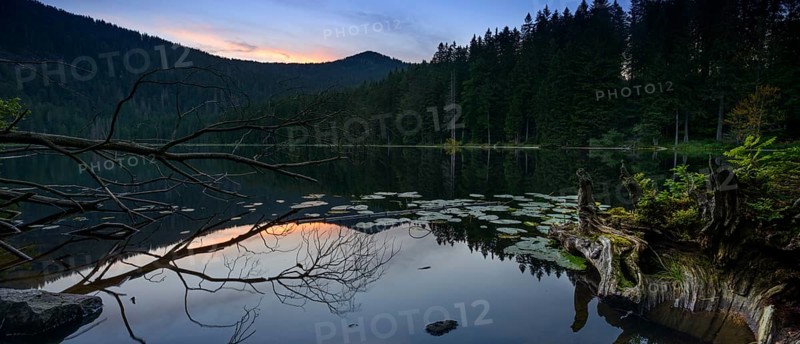 Grosser Arbersee at sunset