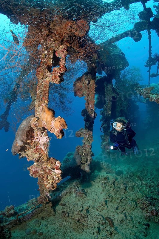 Diver