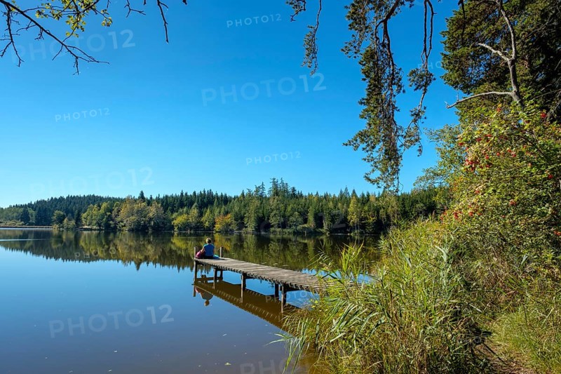 Footbridge with hiker at Auweiher near Bernried