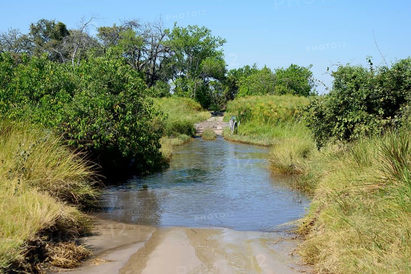 Ford with water