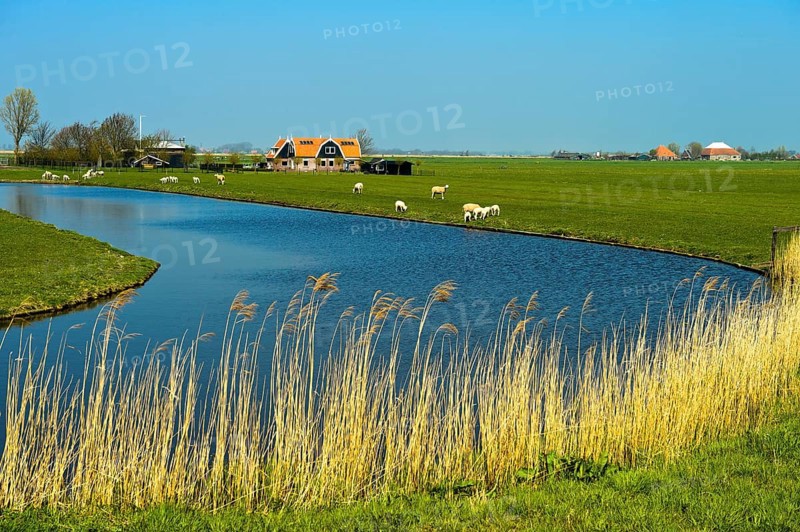 Marshland with river and farmhouse