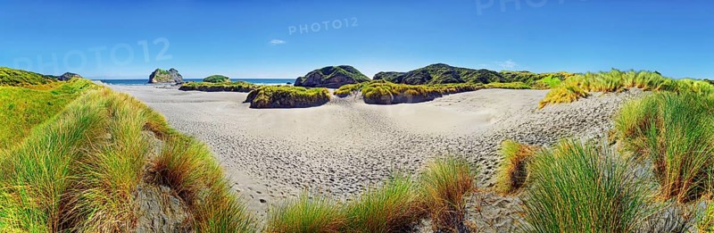 Sandy beach with grassy dunes
