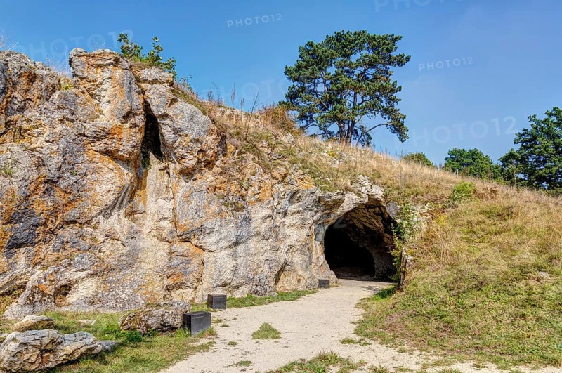 Vogelherd Cave