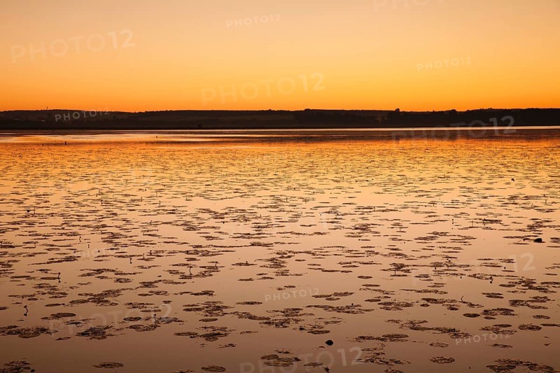 Nature reserve Federsee lake at sunrise