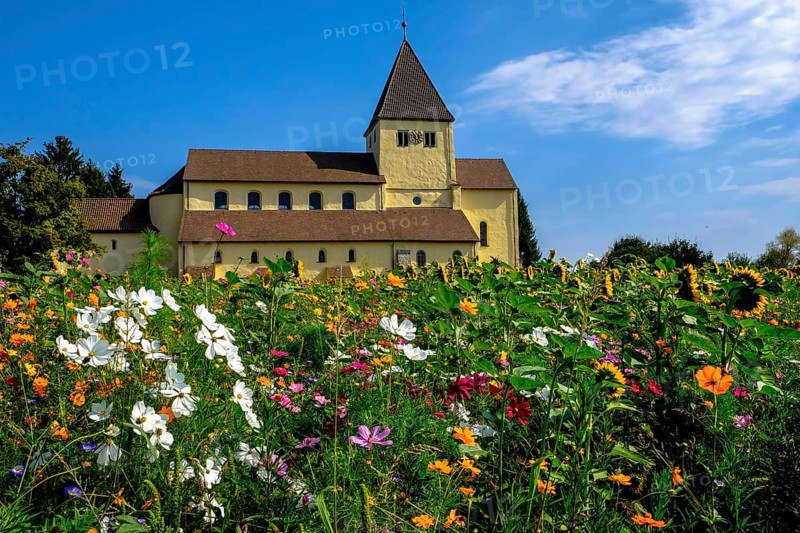 Meadow of flowers in front of George Church