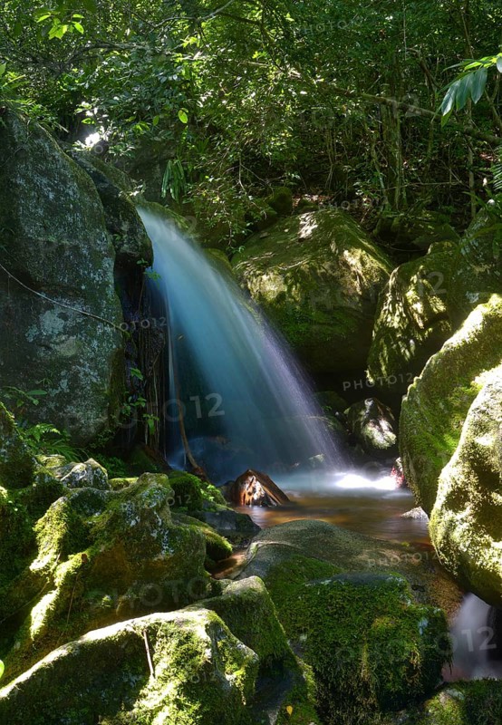 Waterfall in jungle