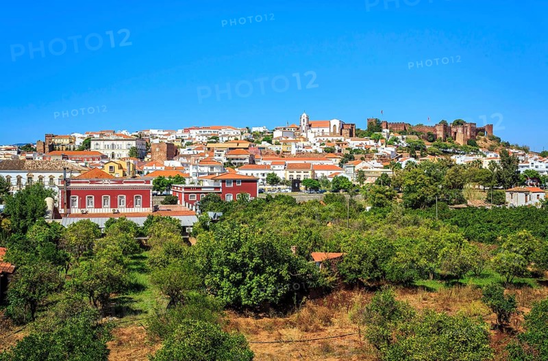 Cityview with medieval cathedral and castle