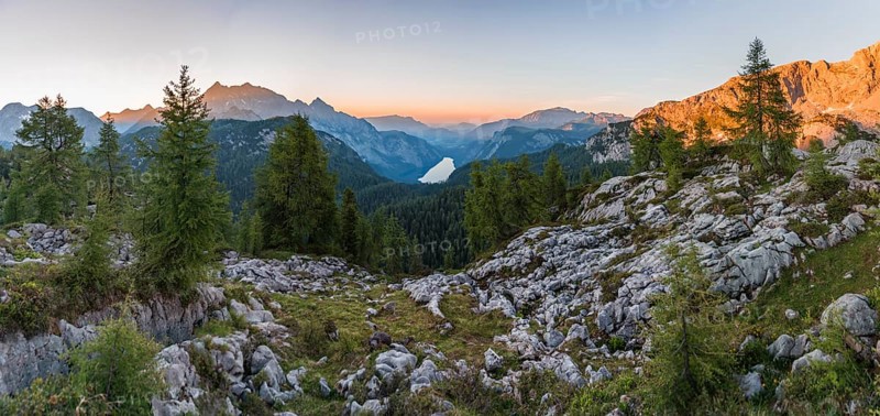 Panorama