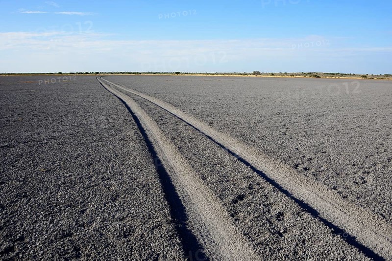 Tire tracks through Deception Pan in Deception Valley of the Central Kalahari Game Reserve