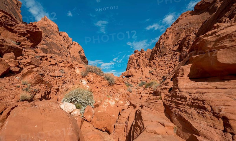 Rainbow Vista Trail