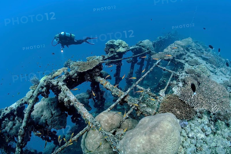 Diver near British Loyalty shipwreck
