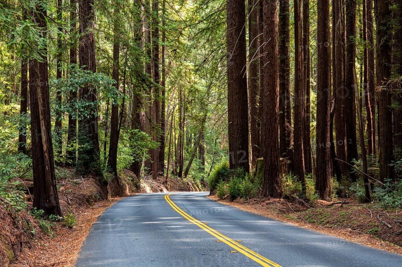 Curvy road
