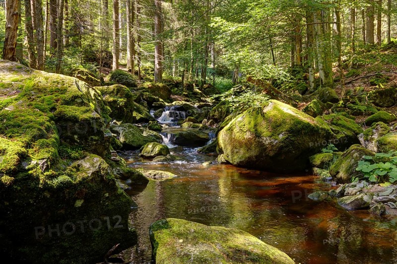 Steinklamm