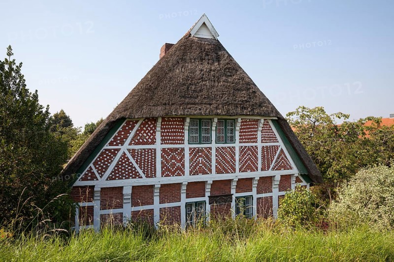 Thatched cottage
