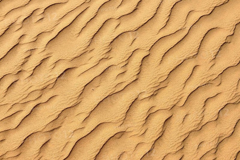 Sand ripples in the sanddunes of Al Khaluf desert