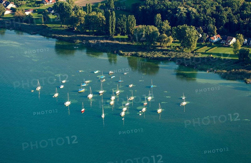 Buoy field