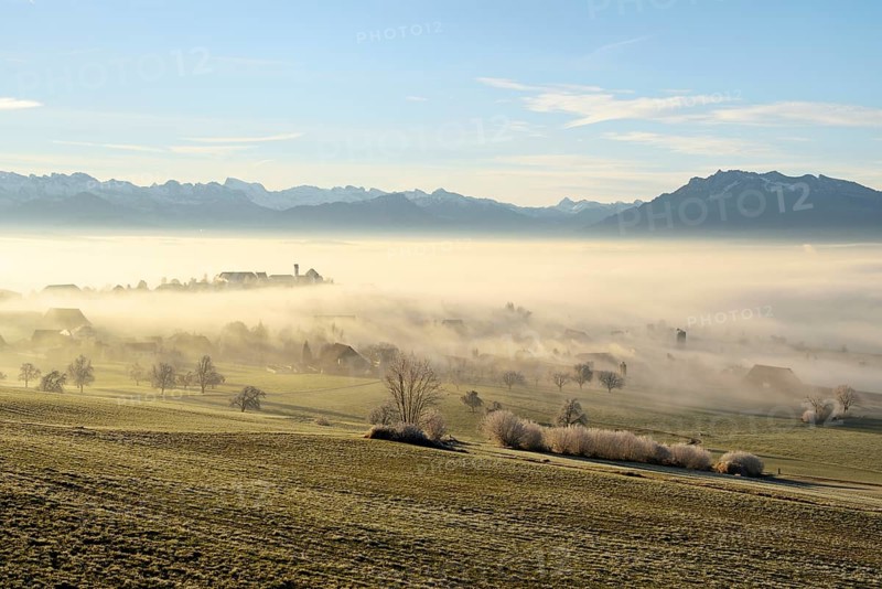 Foggy atmosphere