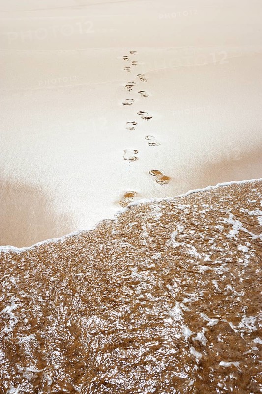 Surf