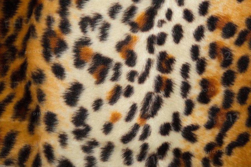 Leopard skin