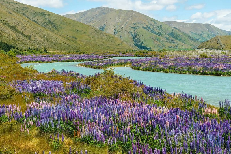 River bed of the Ahuriri River